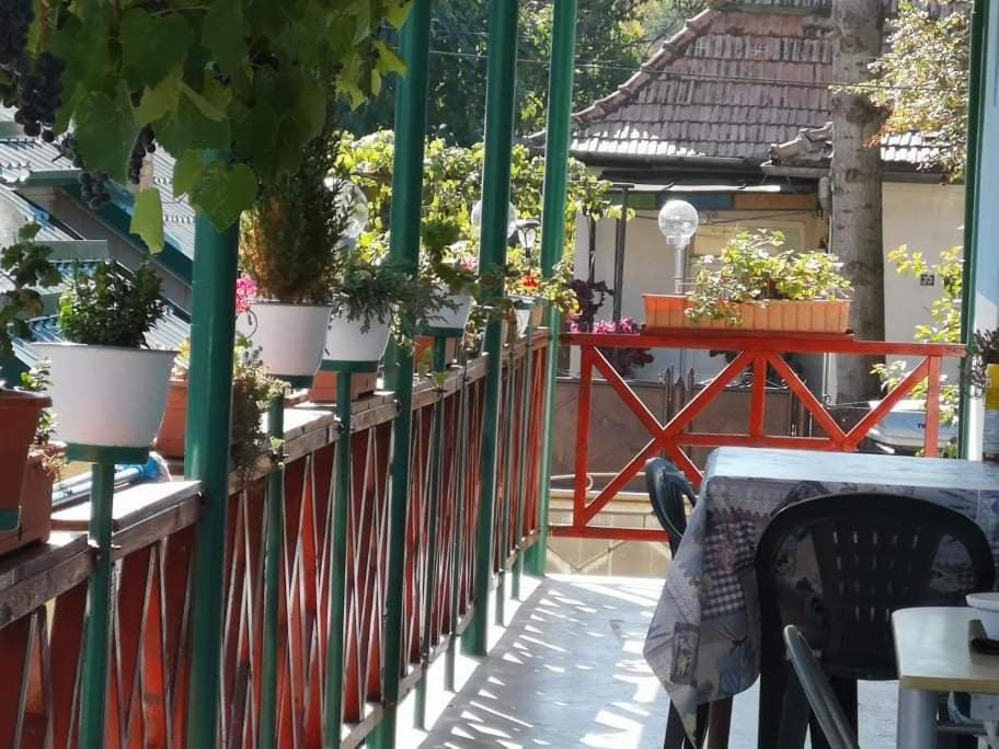 Отель Casa Vinco Vici Турда Экстерьер фото