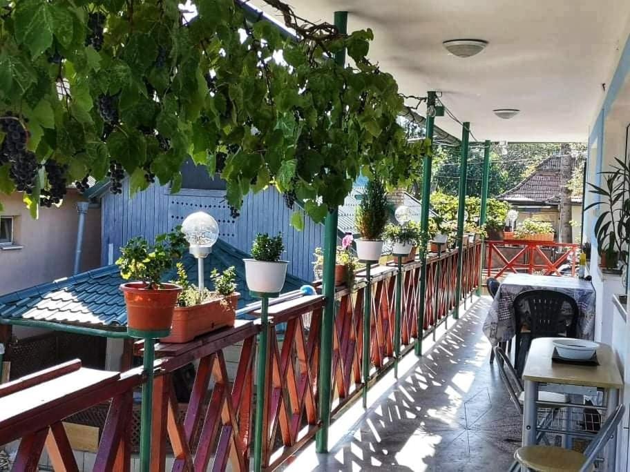 Отель Casa Vinco Vici Турда Экстерьер фото